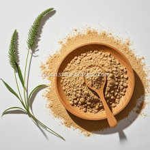 Premium Horsetail Extract for Enhanced Hair & Skin